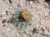 Thumbnail P5042624.webp 